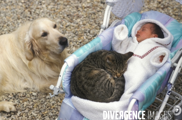 L enfant et les animaux : chat. Children and animals : cats.