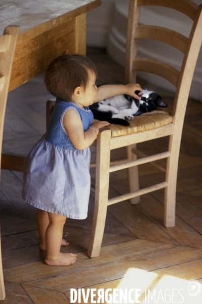 L enfant et les animaux : chat. Children and animals : cats.