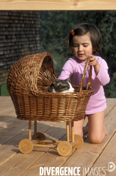 L enfant et les animaux : chat. Children and animals : cats.