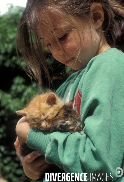 L enfant et les animaux : chat. Children and animals : cats.