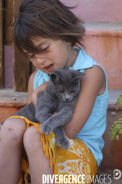 L enfant et les animaux : chat. Children and animals : cats.