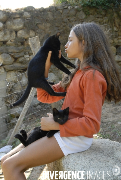 L enfant et les animaux : chat. Children and animals : cats.