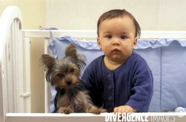 L enfant et les animaux : chien. Children and animals: dogs