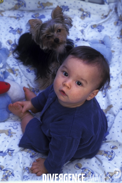 L enfant et les animaux : chien. Children and animals: dogs