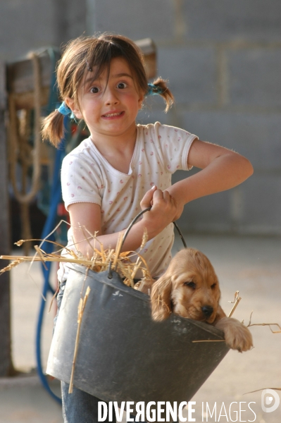 L enfant et les animaux : chien. Children and animals: dogs