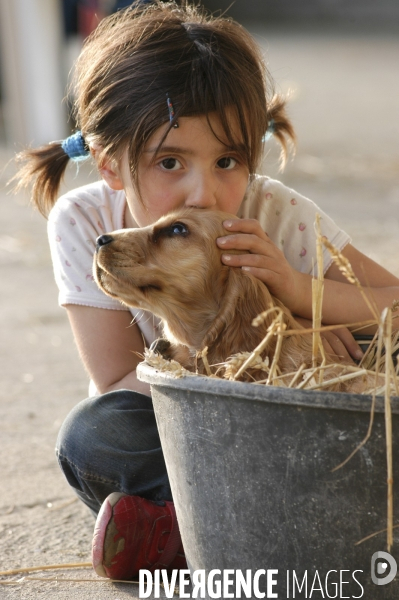 L enfant et les animaux : chien. Children and animals: dogs