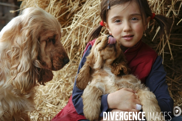 L enfant et les animaux : chien. Children and animals: dogs