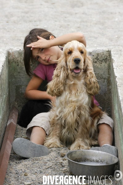 L enfant et les animaux : chien. Children and animals: dogs