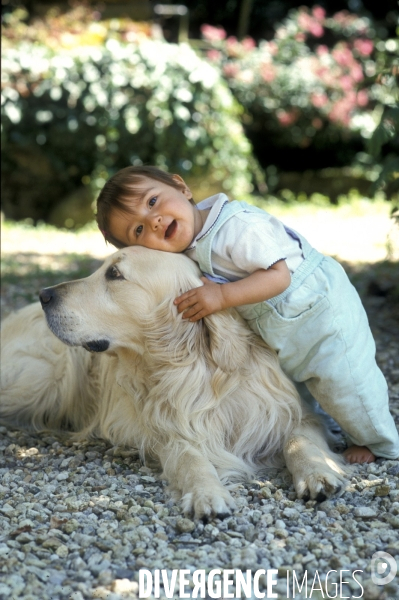 L enfant et les animaux : chien. Children and animals: dogs
