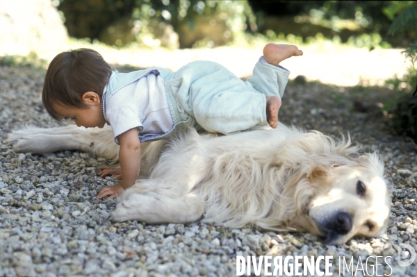 L enfant et les animaux : chien. Children and animals: dogs