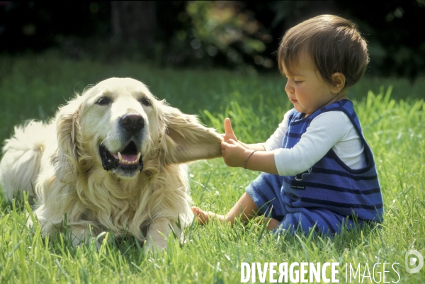 L enfant et les animaux : chien. Children and animals: dogs