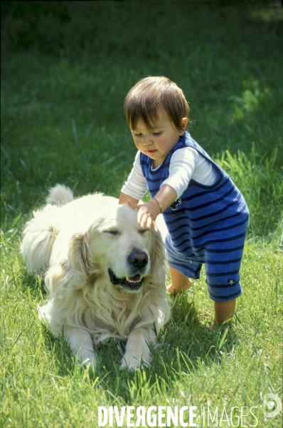 L enfant et les animaux : chien. Children and animals: dogs