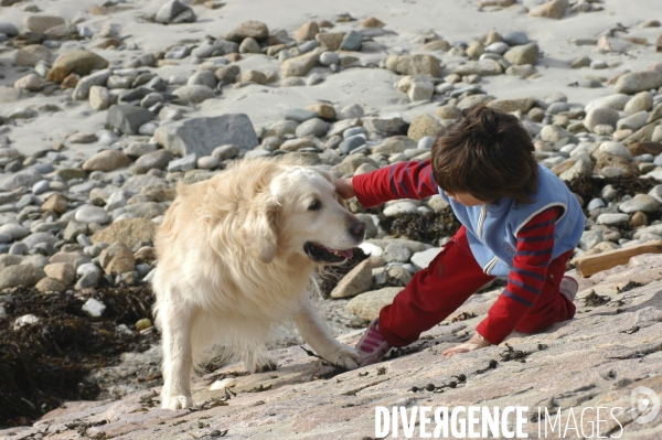 L enfant et les animaux : chien. Children and animals: dogs