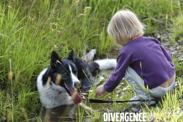 L enfant et les animaux : chien. Children and animals: dogs