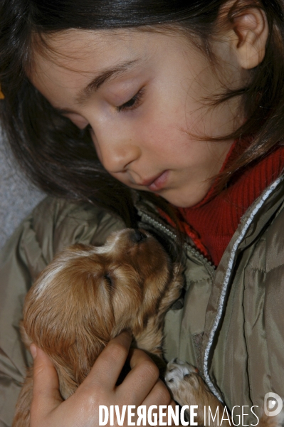 L enfant et les animaux : chien. Children and animals: dogs