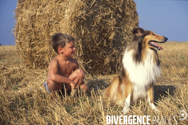 L enfant et les animaux : chien. Children and animals: dogs