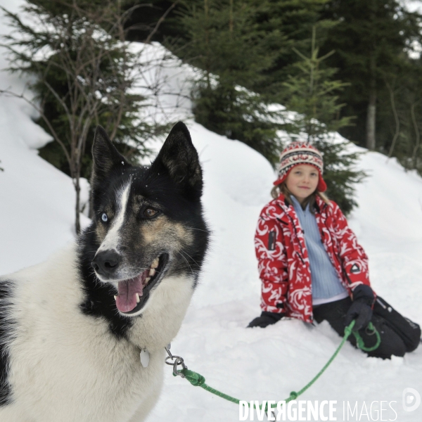 L enfant et les animaux : chien. Children and animals: dogs