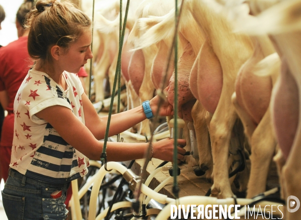 L enfant et les animaux de la ferme. The child and the farm animals.
