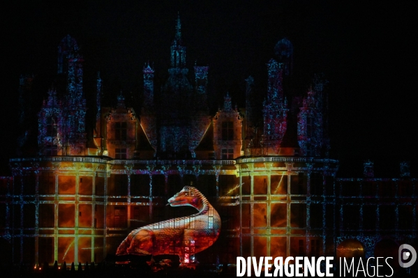 Les Nuits de Chambord; Spectacle de son et lumière qui mêle projections d images, lumière, pyrotechnie, prestations de comédiens, d artistes de feu et de cavaliers,