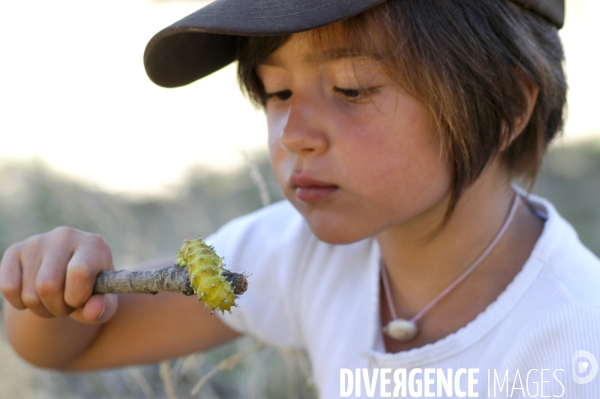 L enfant et les animaux divers et non conventionnels. The child and the various animals and unconventional.
