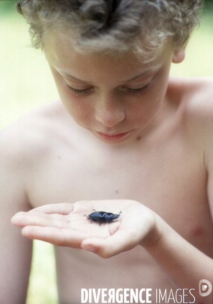 L enfant et les animaux divers et non conventionnels. The child and the various animals and unconventional.