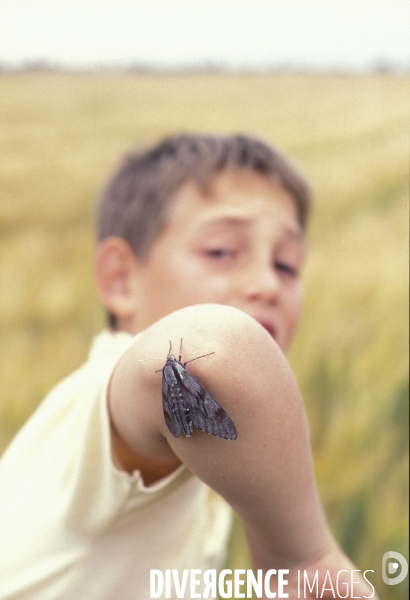 L enfant et les animaux divers et non conventionnels. The child and the various animals and unconventional.