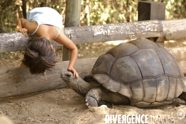 L enfant et les animaux divers et non conventionnels. The child and the various animals and unconventional.