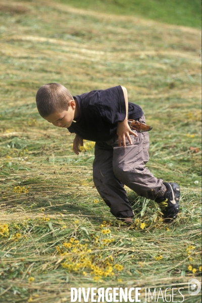 L enfant et les animaux divers et non conventionnels. The child and the various animals and unconventional.