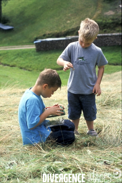 L enfant et les animaux divers et non conventionnels. The child and the various animals and unconventional.