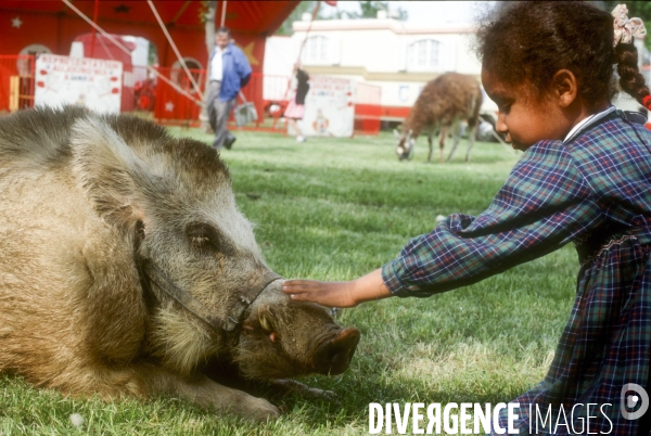 L enfant et les animaux divers et non conventionnels. The child and the various animals and unconventional.