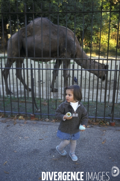 L enfant et les animaux divers et non conventionnels. The child and the various animals and unconventional.