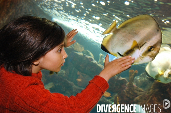 L enfant et les animaux divers et non conventionnels. The child and the various animals and unconventional.
