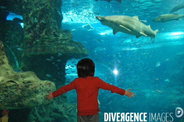 L enfant et les animaux divers et non conventionnels. The child and the various animals and unconventional.