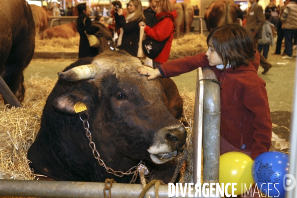 L enfant et les animaux divers et non conventionnels. The child and the various animals and unconventional.