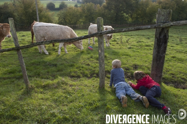 L enfant et les animaux de la ferme. The child and the farm animals.