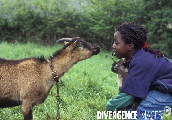 L enfant et les animaux de la ferme. The child and the farm animals.