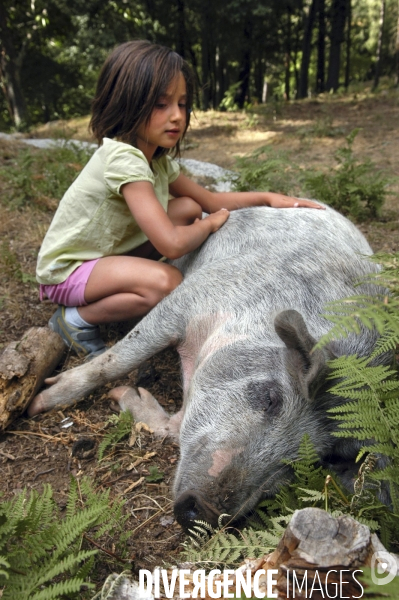 L enfant et les animaux de la ferme. The child and the farm animals.