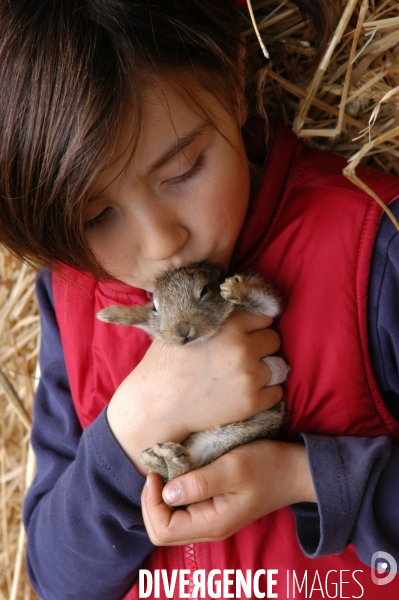 L enfant et les animaux de la ferme. The child and the farm animals.