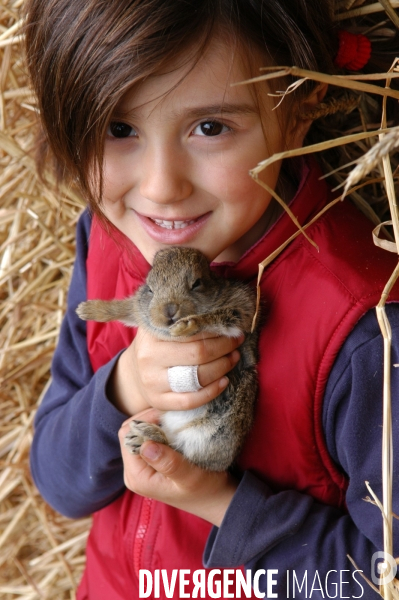 L enfant et les animaux de la ferme. The child and the farm animals.