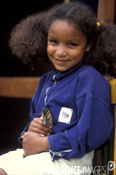 L enfant et les animaux de la ferme. The child and the farm animals.