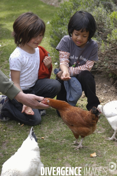 L enfant et les animaux de la ferme. The child and the farm animals.