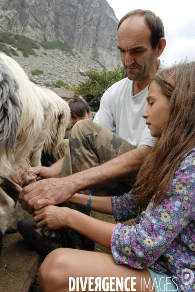 L enfant et les animaux de la ferme. The child and the farm animals.