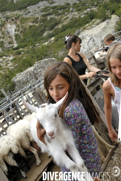 L enfant et les animaux de la ferme. The child and the farm animals.