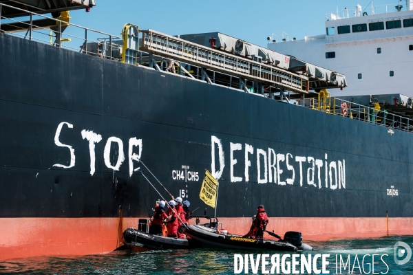 Action Greenpeace a Saint Nazaire pour lutter contre la déforestion.