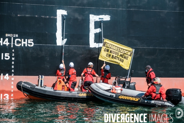 Action Greenpeace a Saint Nazaire pour lutter contre la déforestion.