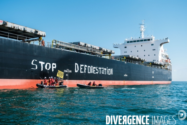 Action Greenpeace a Saint Nazaire pour lutter contre la déforestion.
