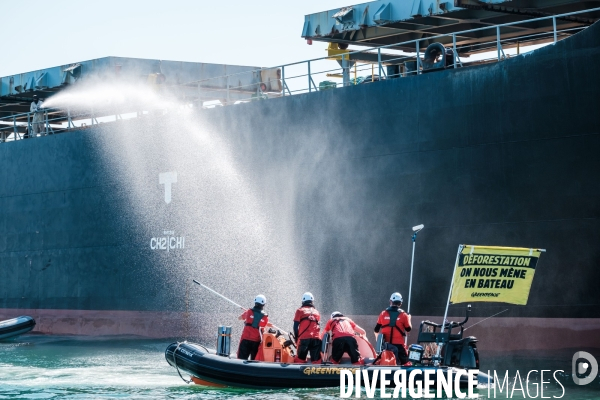 Action Greenpeace a Saint Nazaire pour lutter contre la déforestion.