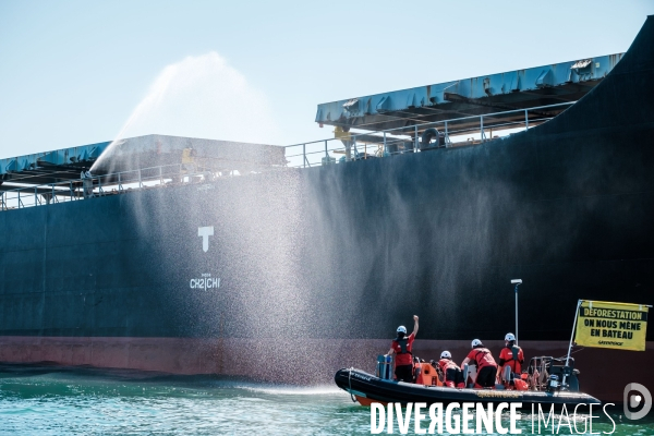 Action Greenpeace a Saint Nazaire pour lutter contre la déforestion.