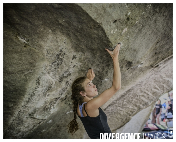 Le long de la Transbassealpine Digne-Nice. ( le contest d escalade )