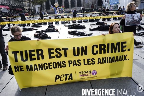 Happening d associations vegan contre le massacre des animaux.